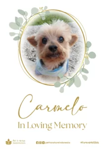 farewell ceremony of Carmelo