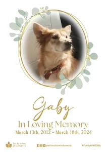 Farewell Ceremony of Gaby