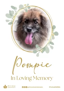 farewell ceremony of Pompie