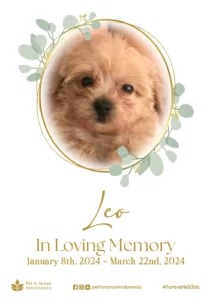 Farewell Ceremony of Leo