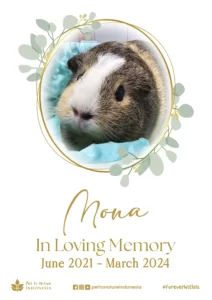 Farewell Ceremony of Mona