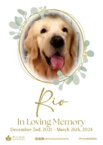 Farewell Ceremony of Rio