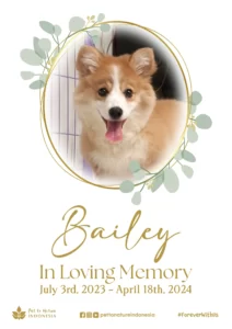 Farewell Ceremony of Bailey