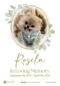 Farewell Ceremony of Rosela