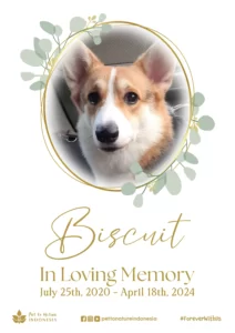Farewell Ceremony of Biscuit