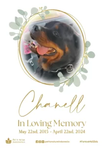 Farewell Ceremony of Chanell