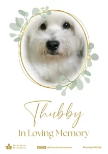 Farewell Ceremony of Thubby