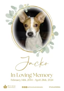 Farewell Ceremony of Jacko
