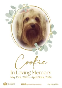 Farewell Ceremony of Cookie