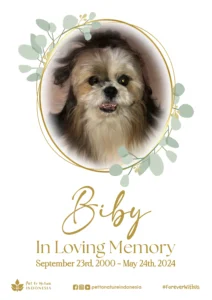 Farewell Ceremony of Biby
