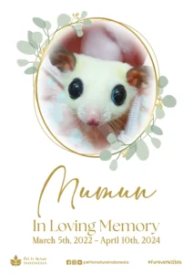 Farewell Ceremony of Mumun