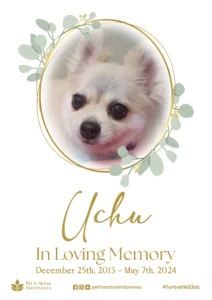 Farewell Ceremony of Uchu