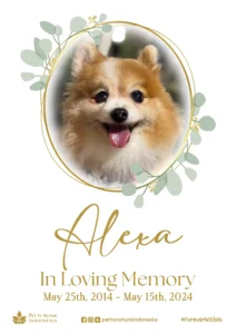 Farewell Ceremony of Alexa