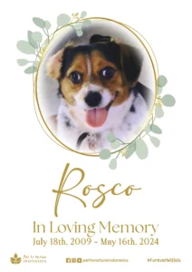 Farewell Ceremony of Rosco