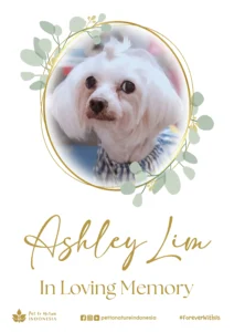 Farewell Ceremony of Ashley Lim