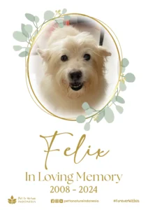 Farewell Ceremony of Felix