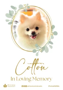 Farewell Ceremony of Cotton