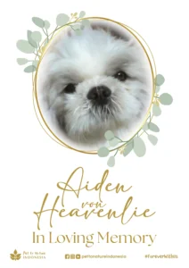 Farewell Ceremony of Aiden von Heavenlie