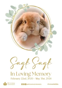 Farewell Ceremony of Sagk Sagk