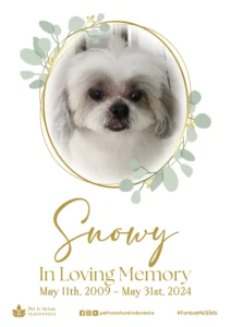 Farewell Ceremony of Snowy