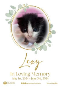 Farewell Ceremony of Lexy