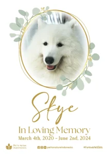 Farewell Ceremony of Skye