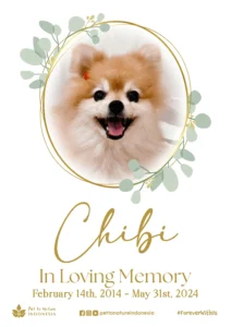 Farewell Ceremony of Chibi