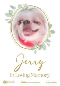Farewell Ceremony of Jerry