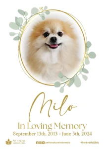 Farewell Ceremony of Milo