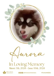 Farewell Ceremony of Aurora