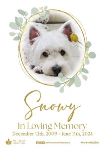 Farewell Ceremony of Snowy