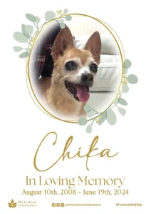Farewell Ceremony of Chika