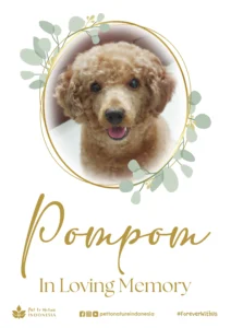 Farewell Ceremony of Pompom