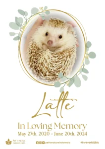 Farewell Ceremony of Latte