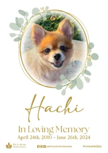 Farewell Ceremony of Hachi