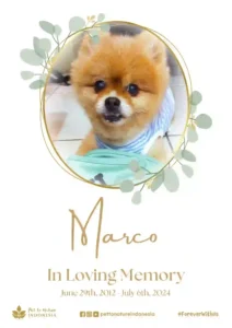 Farewell Ceremony of Marco