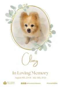 Farewell Ceremony of Cluey