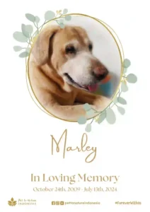Farewell Ceremony of Marley