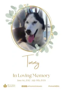 Farewell Ceremony of Timmy