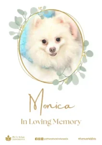 Farewell Ceremony of Monica