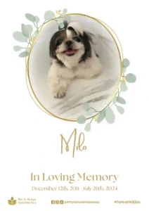 Farewell Ceremony of Milo