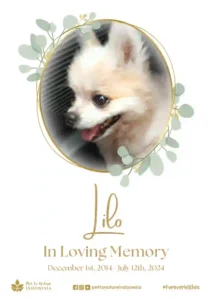 Farewell Ceremony of Lilo