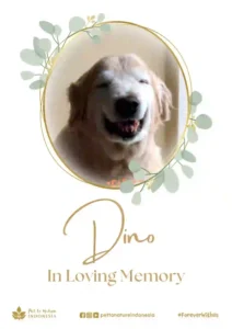 Farewell Ceremony of Dino