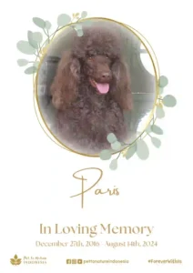 Farewell Ceremony of Paris
