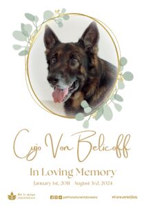 Farewell Ceremony of Cujo von belicoff