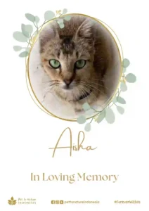 Farewell Ceremony of Aisha