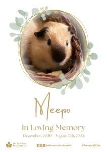 Farewell Ceremony of Meepo