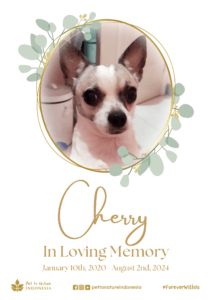 Farewell Ceremony of Cherry