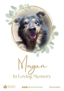 Farewell Ceremony of Morgan