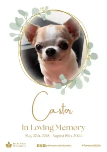 Farewell Ceremony of Castor